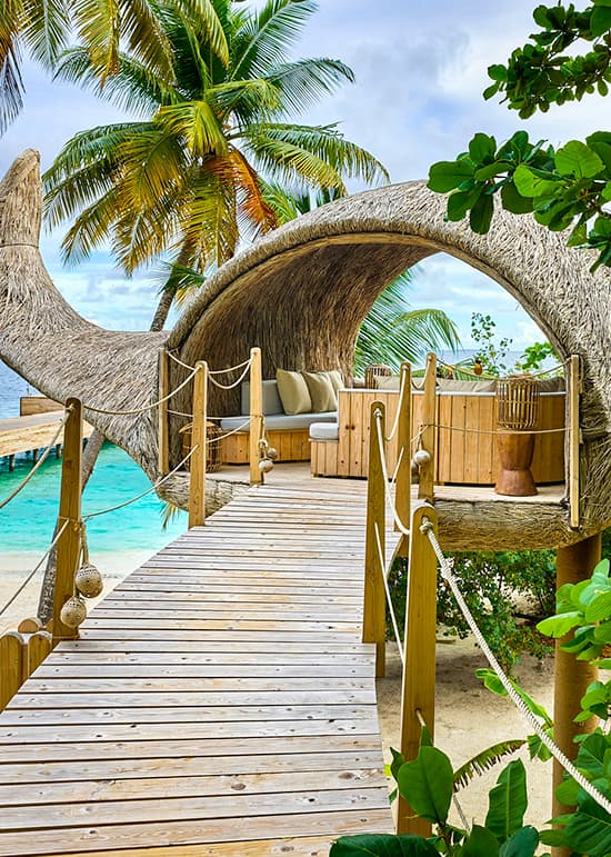 T & C Travel Dreambook
