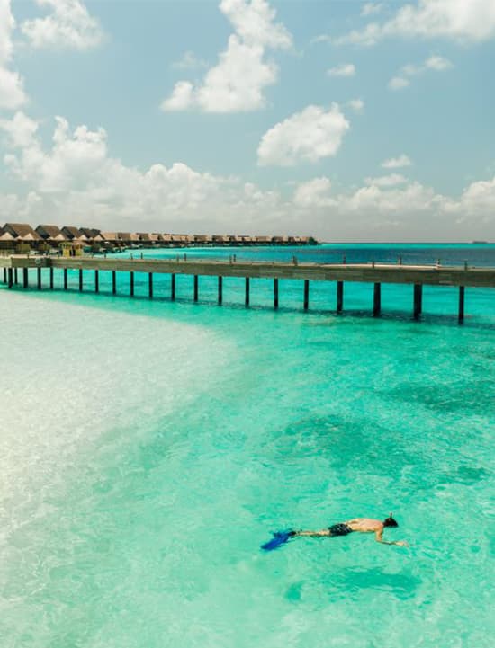 Snorkeling in the Maldives: experience the memorable