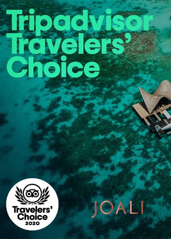 Tripadvisor 
