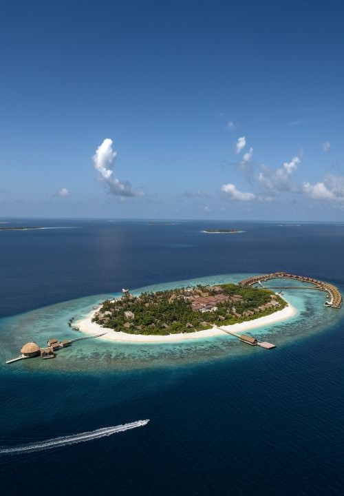 Blissful Summer Stay